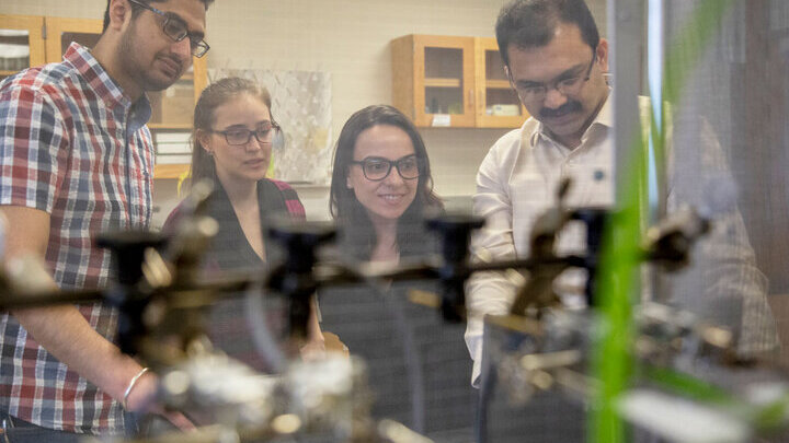 Study of sorghum-munching aphids earns NSF award