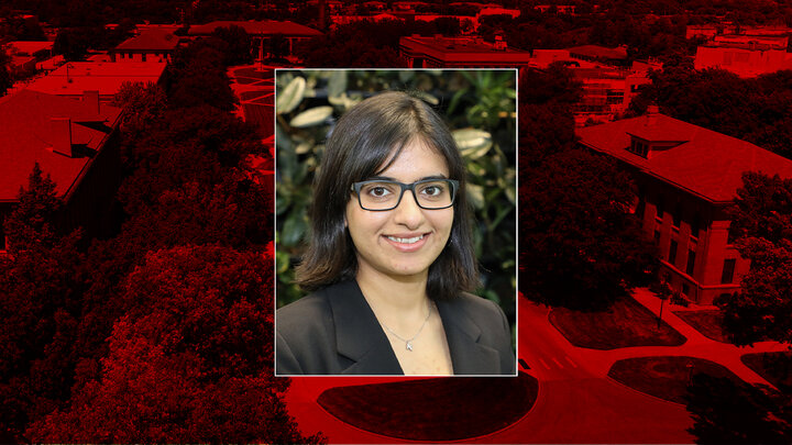 Verma-photo