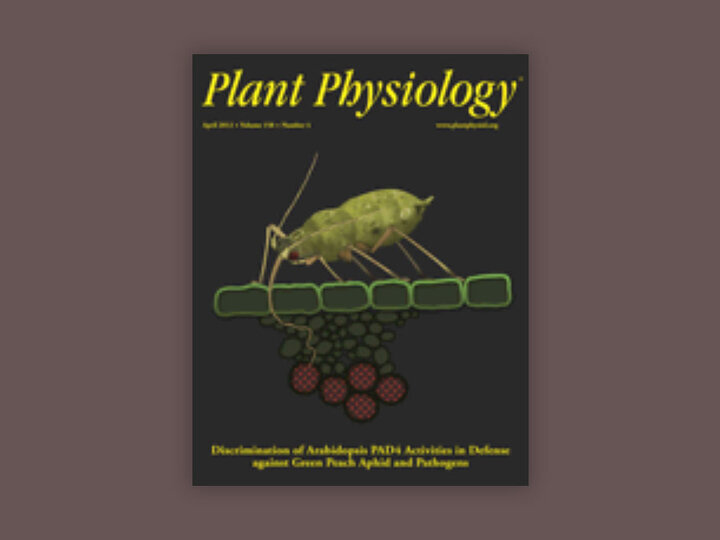 Cover Art of Plant Physiology Publication